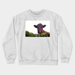 Red brown cow Crewneck Sweatshirt
